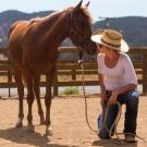 Abby Followwill, a horse trainer at El Campeon Farms