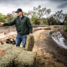 Jackson Sawyer, animal science major, works at the Sheep Barn on Monday, March 16, 2020.