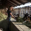 Rayann Eaves, a UC Davis Animal Science major and a minor in Global Disease Biology at the UC Davis Dairy.