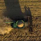 Rice harvest at Rominger Brothers Farms in Winters, CA.