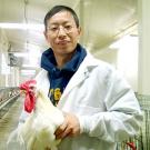 Huaijun Zhou leads this effort to increase chicken production among Africa's rural households and small farms, using advanced genomics to develop chickens that can resist disease and tolerate hot climates.