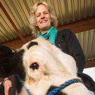 Thanks to gene editing, this calf pictured with Van Eenennaam will not grow horns and will not have to go through the dehorning process. (Karin Higgins/UC Davis)