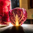 Purple cabbage used to make sauerkraut changes to a light pink color as it starts to ferment. (Hector Amezcua/UC Davis)