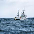 A ship on the sea.