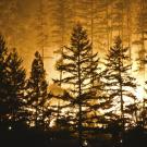 Wildfire burns in Northern California in 2015. (Getty)