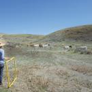 Elise Gornish, Cooperative Extension specialist, surveys a potential restoration site on a ranch in Hollister