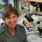 Pam Ronald’s earliest memory of Sweden is of her host, Professor Nils Fries, hunting wild mushrooms at the Stockholm airport. (John Stumbos/UC Davis)