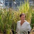 Pam Ronald, distinguished professor in the Department of Plant Pathology and Genome Center, is known for her engineering of flood tolerant rice.
