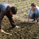 A graduate student from Tribhubhan University works with Rachel Suits, an entomology graduate student at North Carolina State University, to set up rows for an intercropping field trial for a Horticulture CRSP Trellis Fund project with the Ecological Serv