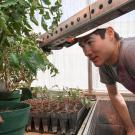 Student Channing Ko-Madden examines camera and infrared sensor attached to a homemade boom. Students were testing plant monitoring capabilities in project greenhouse.