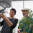 UC Davis has captured the second spot in agriculture and forestry since each subject became part of the QS World University Rankings by subject. (Gregory Urquiaga)