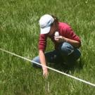 Postdoctoral scholar Leslie Roche takes a water sample from a meadow on a US Forest Service grazing allotment for her study on cattle grazing and water quality. (Kenneth Tate/UC Davis)