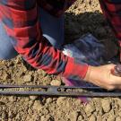 Sampling soil at UC Davis’ Russell Ranch Sustainable Agriculture Facility. (Courtesy Nicole Tautges/UC Davis)
