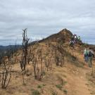 Students in a UC Davis fire ecology class walk along a burned ridge top of Stebbins Cold Canyon Natural Reserve in 2016. (Alexandra Weill, UC Davis)