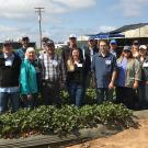 Strawberry Field Day