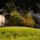 Student reading outside on the UC Davis campus.