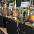 UC Davis researchers discovered a strain of yeast producing natural, soap-like compounds that’s now being developed for eco-friendly, skin-safe detergents. Seen here, yeast was growing in bioreactors in Professor David Block’s lab in 2016 as researchers produced more glycolipid for analysis. Photo by: Irnayuli Sitepu, UC Davis 