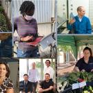 A collage of different people doing scientific research at UC Davis.