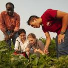 Professor Isaya Kisekka and students measure soil moisture content at the UC Davis Agricultural Research Farm in 2018.
