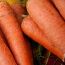 Carrots at the campus Farmer’s Market. (Gregory Urquiaga / UC Davis)