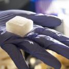 UC Davis researchers have developed a new cooling cube to cut down on cross-contamination. It won't melt, is compostable and plastic-free. (Gregory Urquiaga/UC Davis)