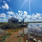 Researchers in the Florida Everglades on a sampling trip. (Brett Poulin/ UC Davis)