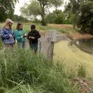 Students getting ready to sample water in the Arboretum Waterway as part of the Wild Davis course.