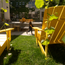 Two six-foot, yellow adirondack chairs sit in the Landscape Architecture Garden of Hunt Hall on May 23, 2024.