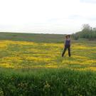 Researcher Julia Michaels standing in a field of frying pans, an uplands plant endemic to California. Photo courtesy of Julia Michaels