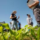 Amélie Gaudin, center, leads students in observing and taking samples to compare ecological outcomes of three different approaches to farming annual crops at a field established in 2016 near the UC Davis Student Farm.