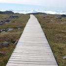 Southern Greenland where a cross-disciplinary project on fermented foods is centered. (Daniel Lyberth Hauptmann)