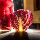 A new UC Davis study shows that having fermented food like sauerkraut could be good for gut health. Photo by: Hector Amezcua, UC Davis
