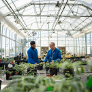 Two people inspect plants together in a greenhouse.