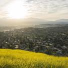 The University of California awarded four UC Davis projects a California Climate Action Grant.(Getty)