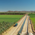 Winter crops grow in the Imperial Valley, an irrigated desert hosting some of the most productive winter farmland in the United States. (Getty)