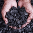 A hand holds fragments of coal, a major source of fossil fuel emissions. (Getty)