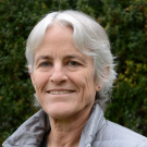 Susan P. Harrison was inducted in the National Academies of Science in 2018. (UCDavis)