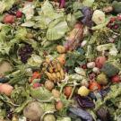 Food waste