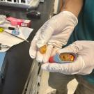 The internal components of a e-cigarette. (Kat Kerlin / UC Davis)