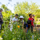 Kids in the Garden is a two-quarter course and internship program for UC Davis students to learn how to teach elementary school students the basics of growing fruits and vegetables and how plants grow. Photo by: Jael Mackendorf, UC Davis
