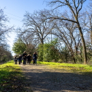 Professor Brett Milligan leads a group of landscape architecture students on a walk in Delta Meadows State Park to see the dynamic landscape as part of a site planning and design studio course. Photo by: Jael Mackendorf, UC Davis