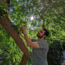 Alessandro Ossola