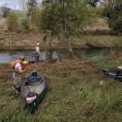 From left, UC Davis lead author Lauren Hitt, junior specialist Jordan Colby and coauthor Mackenzie Miner prepare to search for chinook salmon on Lower Putah Creek by canoe. (Dennis Cocherell, UC Davis).