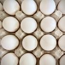 A close-up view of a carton filled with white eggs.