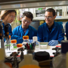 Professor Aldrin Gomes of the Department of Neurobiology, Physiology and Behavior, second from right, was named a recipient of the Presidential Award for Excellence in Science, Mathematics and Engineering Mentoring. (Karin Higgins/UC Davis)