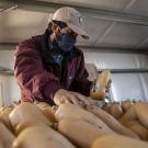 The COVID-19 Statewide Agriculture and Farmworker Education Program is designed to help California's 800,000 farmworkers stay safe during the pandemic. (Hector Amezcua/UC Davis)