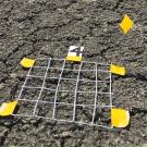 Biological soil crust, or biocrust, on dryland near Winnemucca, Nevada, on the Great Basin. The metal quadrat (a square meter) is used in surveying the functional groups of the biocrust and quantifying its cover in the field. (Daniel Kozar/UC Davis)