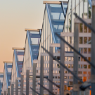UC Davis CORE greenhouses at sunset.