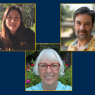 A collage of head shots of Joanna Chiu, Andrew Whitehead and Mary Delany.