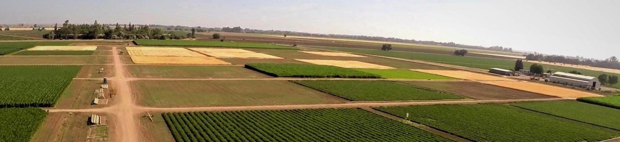 farm